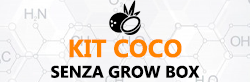 Kit Cocco