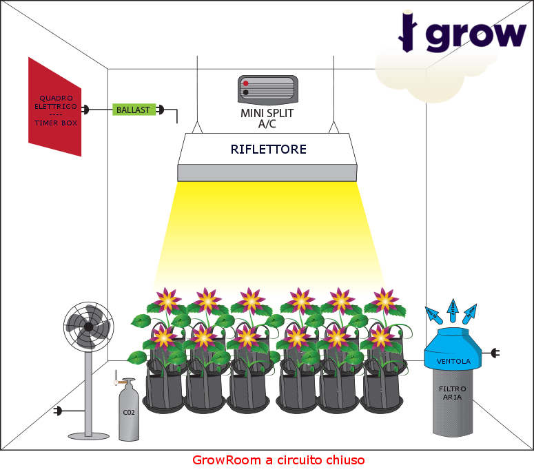 grow room circuito chiuso