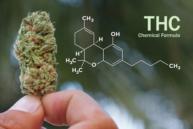 thc hiv aids cura