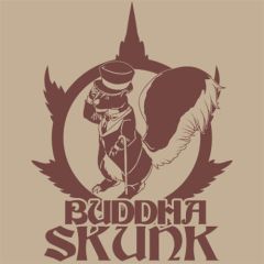 Buddha Skunk Femminizzata