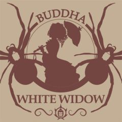 Buddha White Widow Femminizzati