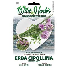 Erba Cipollina Medium Leaf