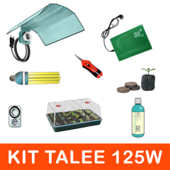 Kit Talee CFL Pro 125W