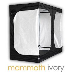Mammoth Ivory