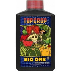 Top Crop - Big One